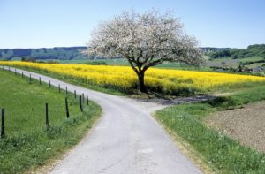 Einzelcoaching Einzeltraining Business geschäftlich